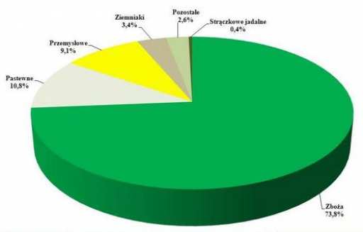 Struktura zasiewów roślin rolniczych w Polsce. Kategoria Powierzchnia tys.