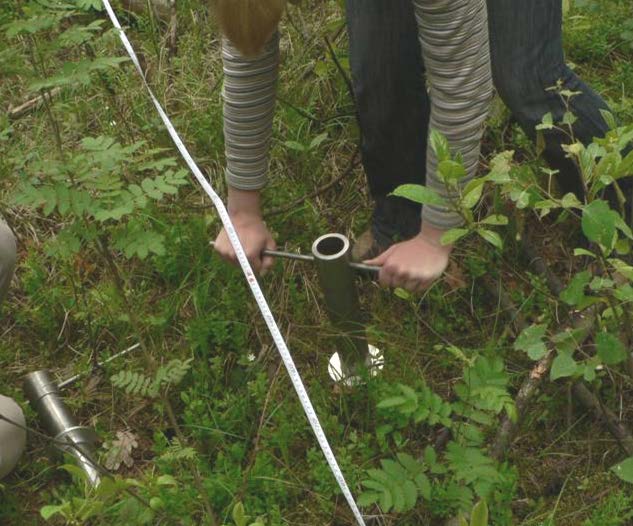 4. Stawonogi glebowe: skład taksonomiczny, zagęszczenie, biomasa, grupy funkcjonalne.