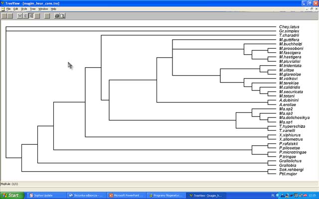 Graficzna