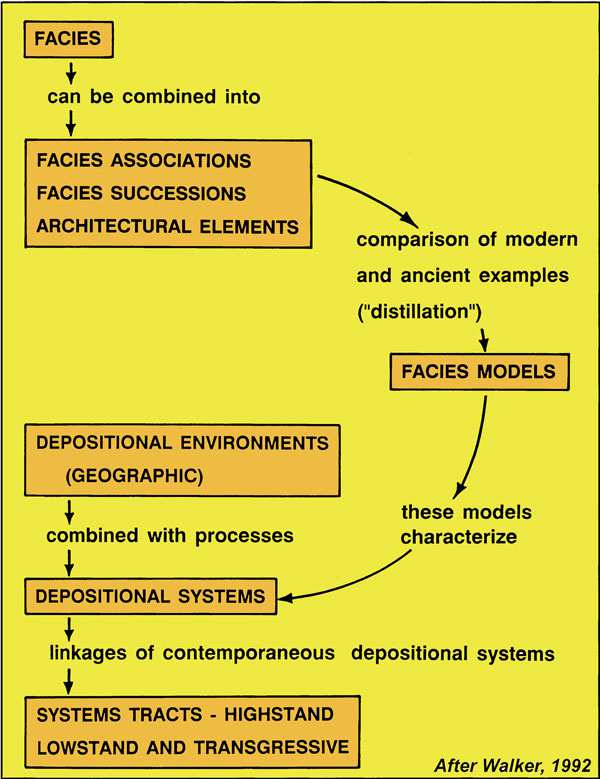 Sedimentary Geology Relationship between: Facies
