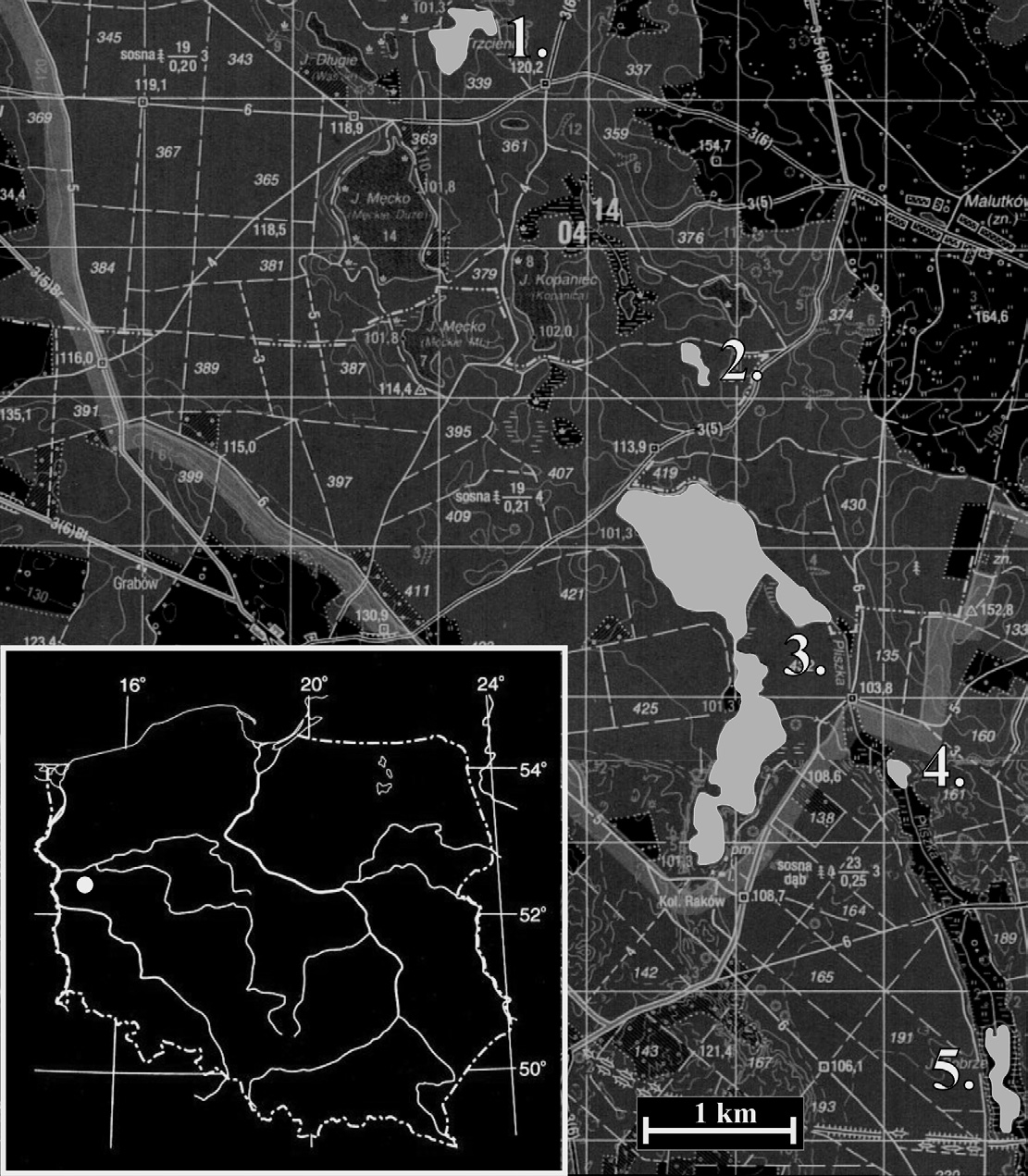 M. Pełechaty & A. Pukacz: Nymphaea candida na Pojezierzu Łagowskim 115 Ryc. 1. Lokalizacja jezior, w których stwierdzono nowe stanowiska Nymphaea candida C. Presl na Pojezierzu Łagowskim.