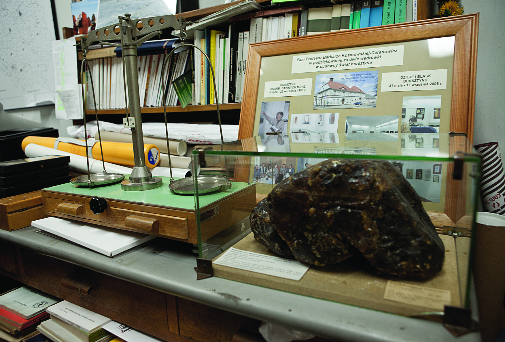 Imponujące eksponaty w Muzeum Ziemi Okazało się między innymi, że przynależność żywicy do konkretnego rodzaju bursztynu, takiego jak sukcynit (nazwany tak w 1820 roku), symetyt (bursztyn sycylijski)