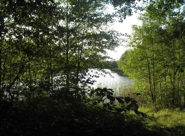 Trzebciny sąsiadują z sołectwem Ludwichowo leżą na skraju przepięknych lasów, na terenie Borów Tucholskich, na skraju Śliwickiego Obszaru Chronionego Krajobrazu, wzdłuż Jeziora Trzebcińskiego.