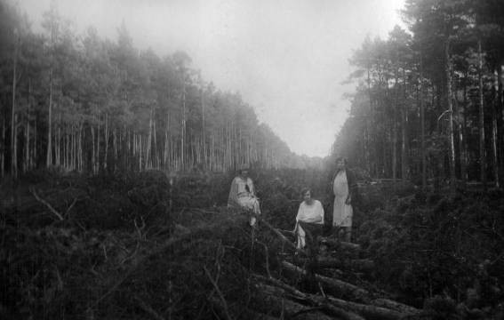 Wyrąbywanie sosen pod ulice w przyszłym Mieście Las Koumna, foto z ok. 1927 r. - Dużo czasu poświęciłem na dokumentowanie fotograficzne terenu (w tym roku 35 lecie).