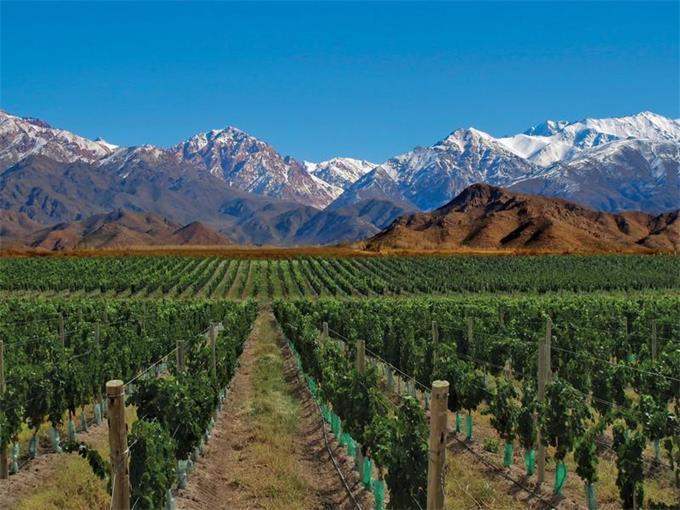 Prowincja Mendoza Argentyna jest piątym producentem wina na świecie, największym w Ameryce Łacińskiej.