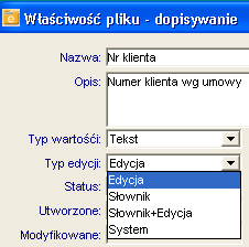 Okno należy wypełniać w następujący sposób: Nazwa nazwa pola, wyświetlana na metce pliku; Opis dodatkowy opis danych, zapisywanych w tym polu Indeks liczba całkowita, wskaźnik określający kolejność