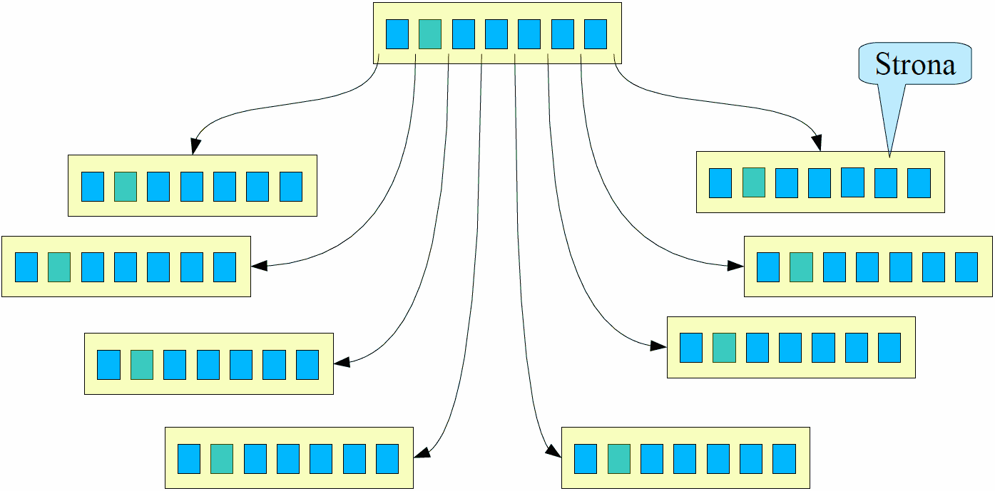 Drzewo wielokierunkowe Bazy danych Struktury danych
