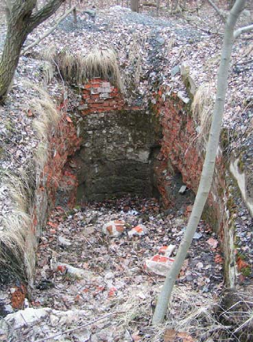 Cuprifodina in montibus o historii i pozostałościach [ ] górniczych w rejonie Miedzianki 275 rozległe hałdy związane z szybem Friedrich.