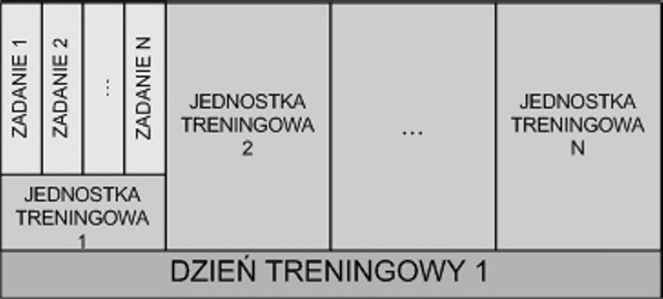 Rys 3. Struktura mezocyklu treningowego Rys 4. Struktura dnia treningowego I tak zespoły sieci mają odpowiednio za zadanie analizowanie: 1.