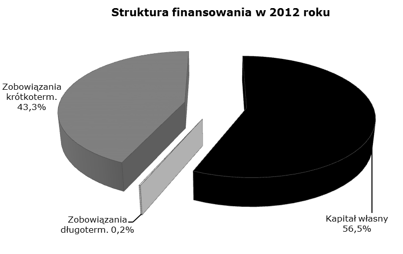 16 krótkoterminowych w porównywalnych okresach. Środki pieniężne na dzień 31 grudnia 2012 roku wyniosły 14,4 mln zł, w porównaniu do 14,1 mln zł na koniec roku poprzedniego.