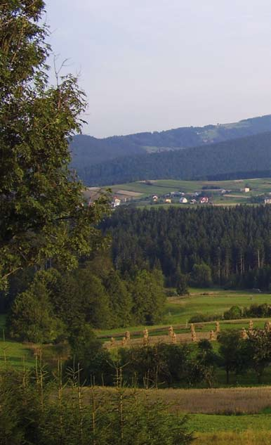 (planie ochrony) dla obszaru Natura 2000.