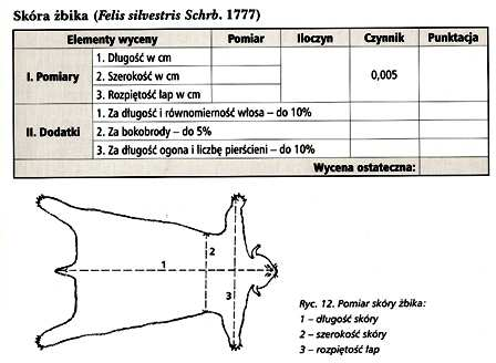 Pomiary skóry rysia