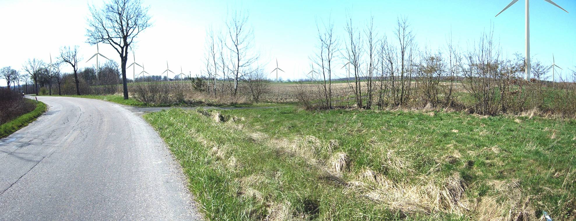 Fot. 4. Wizualizacja elektrowni farm wiatrowych Nowy Jarosław (po lewej stronie) i Jarosław (po prawej stronie) od wschodu. Przykład skumulowanego oddziaływania farm wiatrowych na krajobraz.