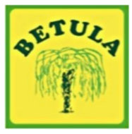 Oferta jesień 2016 wiosna 2017 Szkółka Drzew i Krzewów Ozdobnych BETULA mgr inż. Wojciech Kimel ul.pisarska 26 43-344 Bielsko-Biała (Hałcnów) tel./fax (033) 810-76-34 tel. kom.