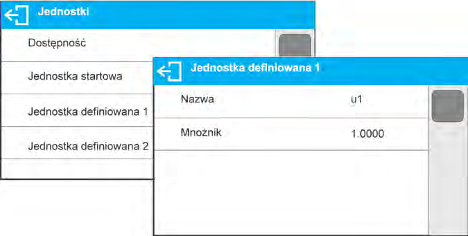 8.7. Jednostka definiowana Użytkownik może zadeklarować dwie jednostki definiowane.