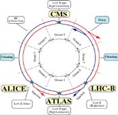 Eksperymenty LHC ATLAS (ogólnego zastosowania) CMS (ogólnego zastosowania) LHCb (dedykowany