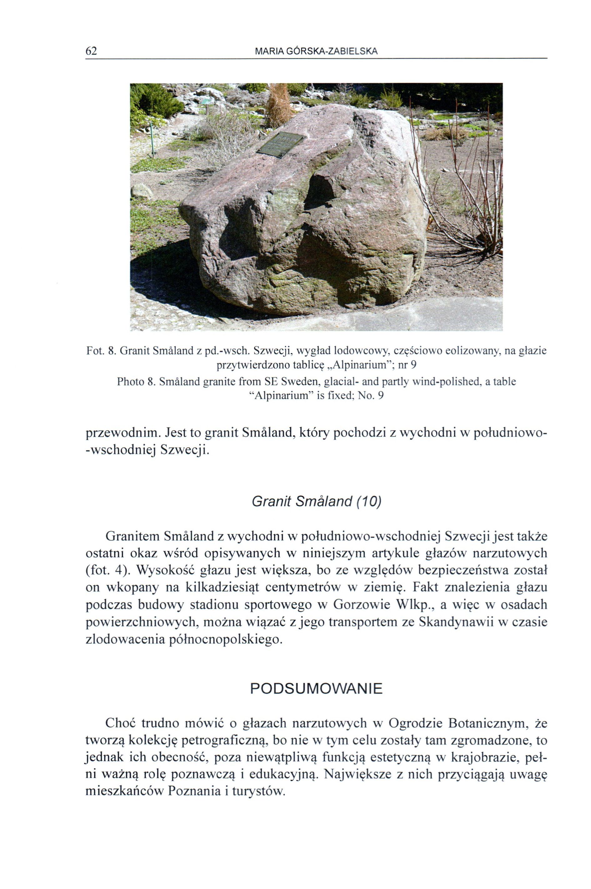62 MARIA GÓRSKA-ZABIELSKA Fot. 8. Granit Smàland z pd.-wsch. Szwecji, wygląd lodowcowy, częściowo eolizowany, na głazie przytwierdzono tablicę Alpinarium"; nr 9 Photo 8.