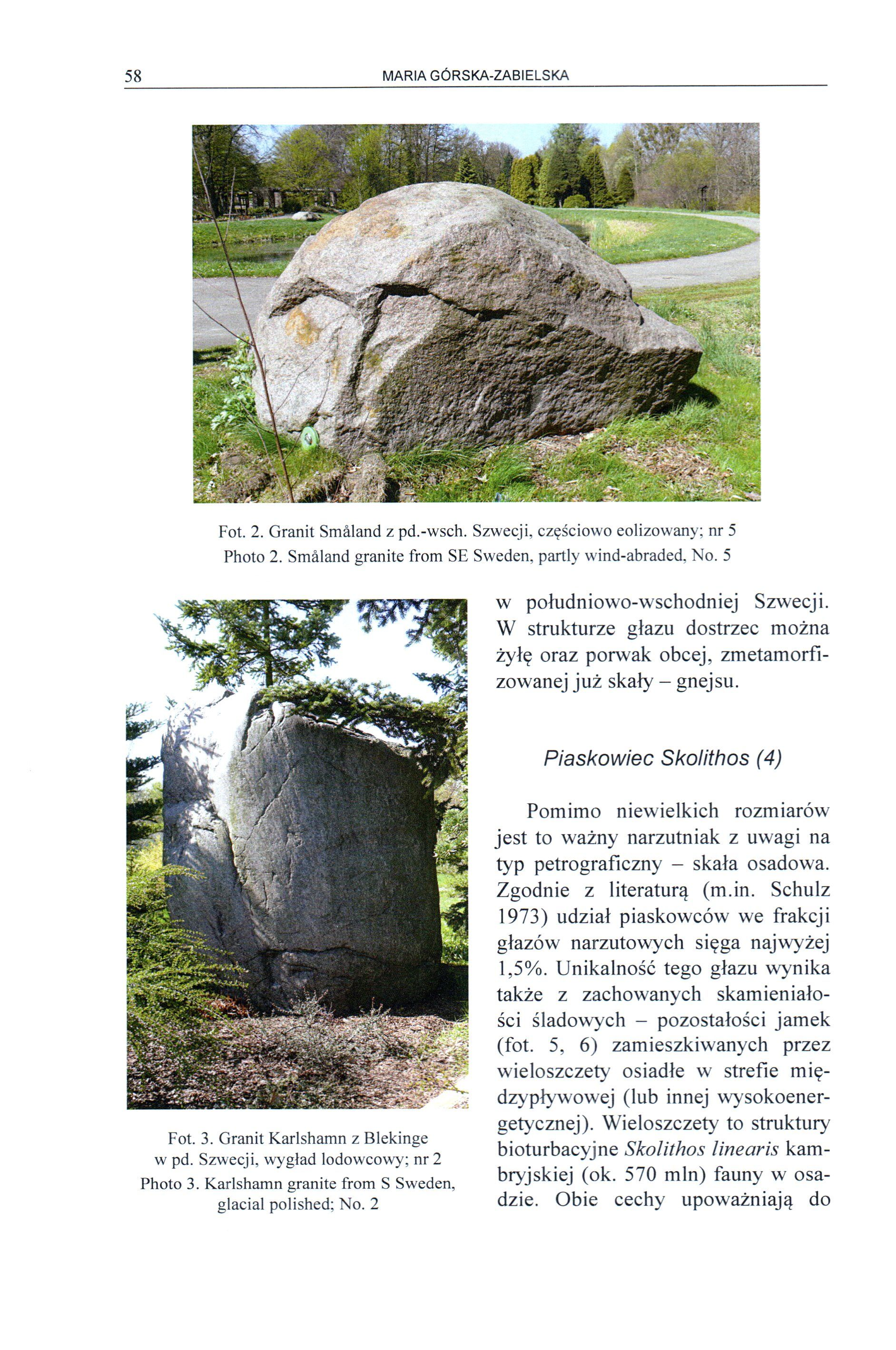 58 MARIA GÓRSKA-ZABIELSKA Fot. 2. Granit Smäland z pd.-wsch. Szwecji, częściowo eolizowany; nr 5 Photo 2. Smàland granite from SE Sweden, partly wind-abraded. No. 5 w południowo-wschodniej Szwecji.