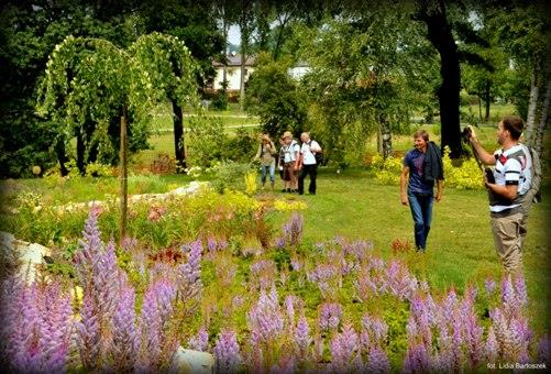 Kolekcje w Śląskim Ogrodzie Botanicznym Obecnie na ogrodzonym obszarze Śląskiego Ogrodu Botanicznego istnieją następujące kolekcje: Kolekcja dendrologiczna Kolekcja roślin wrzosowatych (Ericarium)