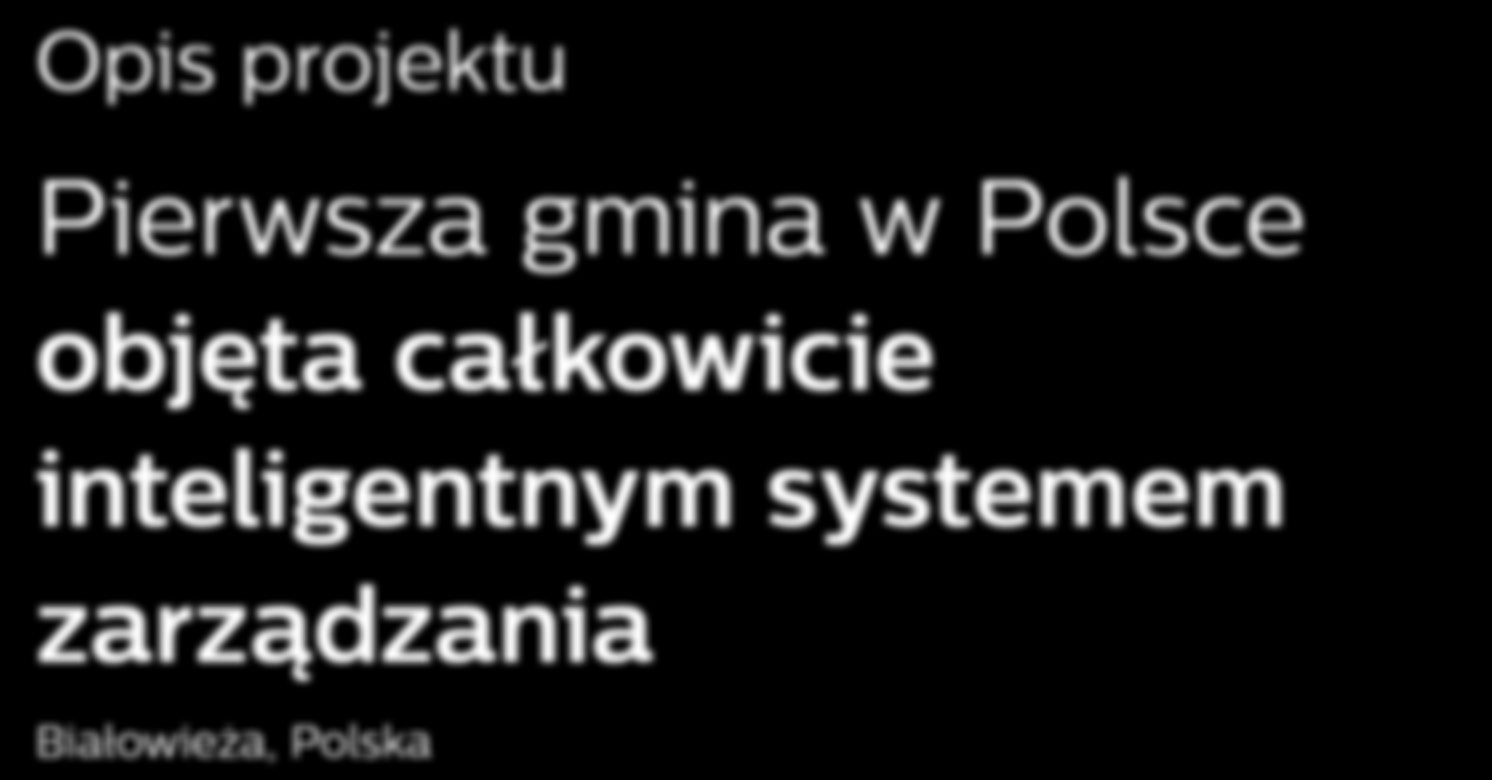 Oświetlenie zewnętrzne Oświetlenie drogowe Opis projektu Pierwsza gmina w