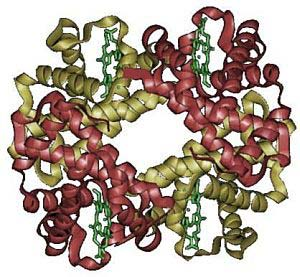 26 FOTON 93, Lato 2006 Model struktury hemoglobiny, barwnika czerwonych ciałek krwi, którego funkcją jest przenoszenie tlenu (przyłączanie go w płucach i uwalnianie w tkankach).