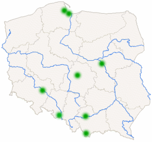 Plan rozwoju farm wiatrowych w 2008 roku Farma wiatrowa A Farma wiatrowa TYCHOWO Farma wiatrowa D 2008 Q2 FW Tychowo - [16 turbin; maks.* 35 MW] Q3 Farma wiatrowa A - [10 turbin; maks.