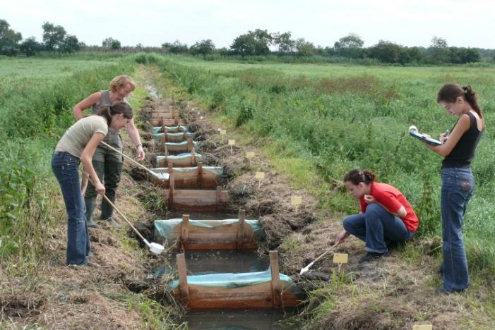 Zatrudnienie absolwentów MIKROBIOLOGII Szansa na ciekawą pracę w: instytucjach naukowo-badawczych ośrodkach badawczo-rozwojowych jednostkach kontrolno-pomiarowych laboratoriach diagnostycznych służby