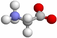 Ogólna budowa aminokwasów α w neutralnym p α N 2 C α COO N 3 + C α R COO - R grupa aminowa - N 2