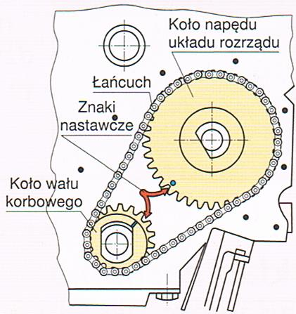 Wał rozrządu napędzany jest od wału korbowego kołami zębatymi, przekładnią łańcuchową lub przekładnią pasową z pasem zębatym. Wał rozrządu wykonuje jeden obrót na dwa obroty wału korbowego.
