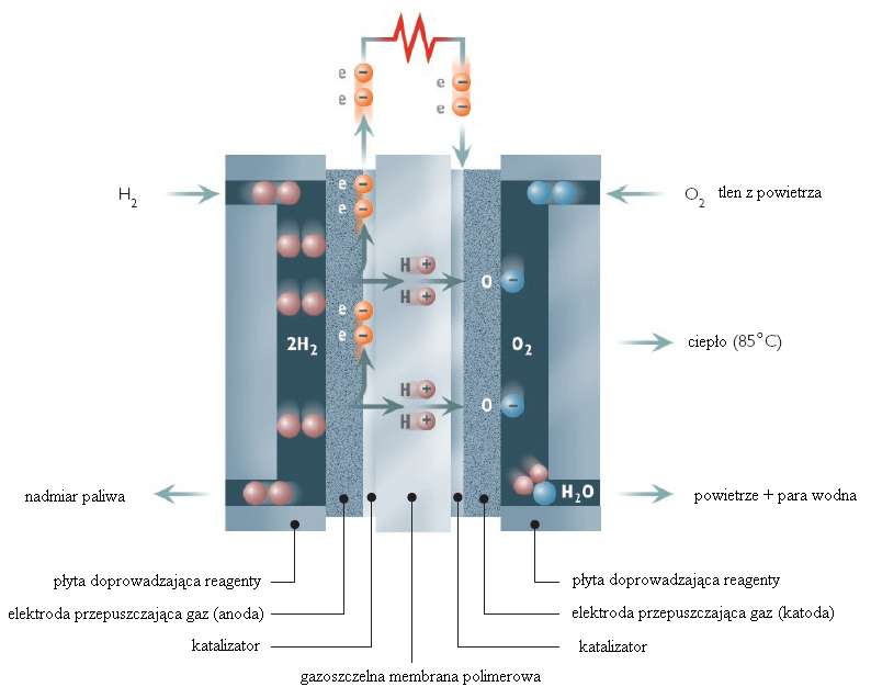 Rys.2. Schemat działania ogniwa paliwowego z membraną polimerową[11].