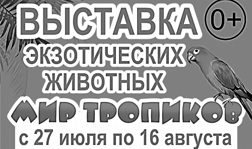 Zadanie 15. (0 4) Przeczytaj teksty. Zdecyduj, czy każde zdanie (1. 4.) jest zgodne z treścią tekstu ( albo ). Wpisz znak X w odpowiednią kratkę., 1. Автор текста хочет продать компьютер.