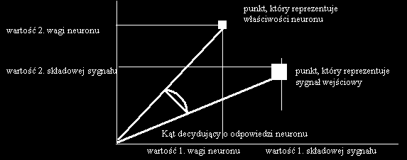 Działanie prostego neuronu o funkcji ciągłej Działanie sieci neuronowej jest wypadkową działania poszczególnych neuronów oraz zachodzących pomiędzy nimi interakcji.