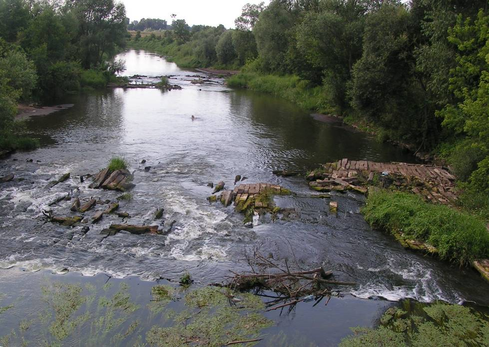 Rys. 3.2. Rzeka Lubaczówka ppk m. Manasterz, 2010