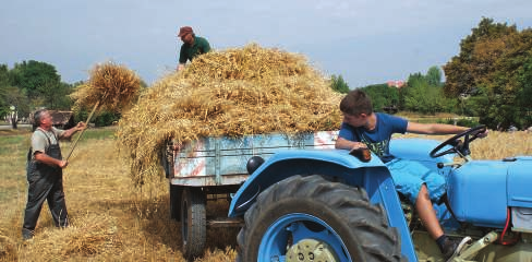 24. strana Alternatívne zdroje poznávania 26/2013, 5. september 2013 Agrokomplex Nitra a možnosti POĽNOHOSPODÁRSTVO Z 19.