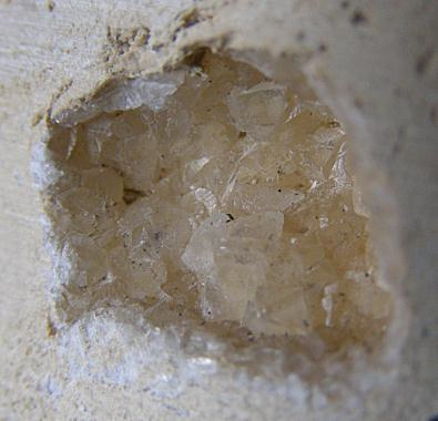 Okaz 9 - MCh/P/11300 - Dolomit diploporowy - 3-5-4: Próbka z rejonu Luszowic (Piaski), dolomity diploporowe, część stropowa, rdzeń wiertniczy. Laminowany dolomit pelityczny z intraklastami.