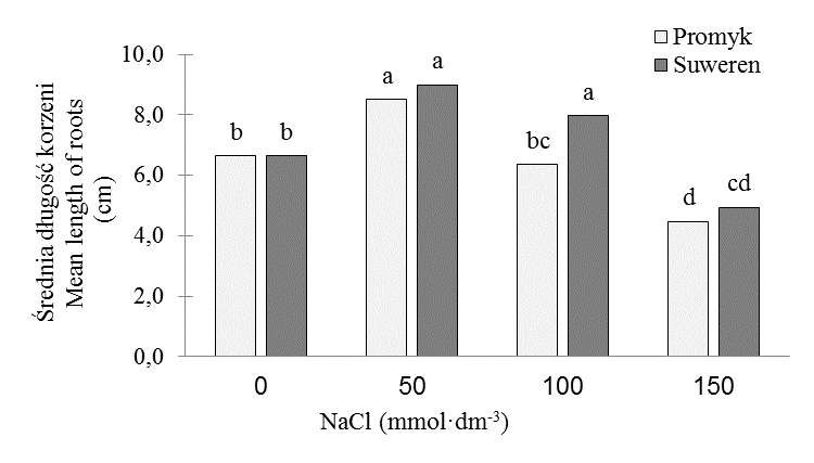OCENA WPŁYWU CHLORKU SODU NA WZROST I FOTOSYNTEZĘ 213 W naszych badaniach zaobserwowano, że najniższe stężenie 50 mmol NaCl dm -3 w pożywce Hoaglanda stymuluje wzrost korzeni u obu odmian (rys. 4).