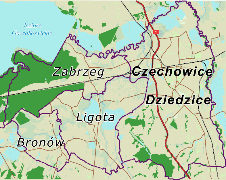 Gmina Czechowice Dziedzice graniczy: od północy: Gmina Goczałkowice Zdrój, należąca do powiatu Pszczyńskiego, od wschodu: Gmina Bestwina, należąca do powiatu Bielskiego, od południa: miasto Bielsko