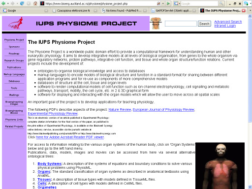 Szlaki metaboliczne (Biologia Systemów) Model komórki miocytu hybrydowe modelowanie kanałów jonowych Clancy, C. E. and Y. Rudy (1999). Nature 400(6744): 566-9.