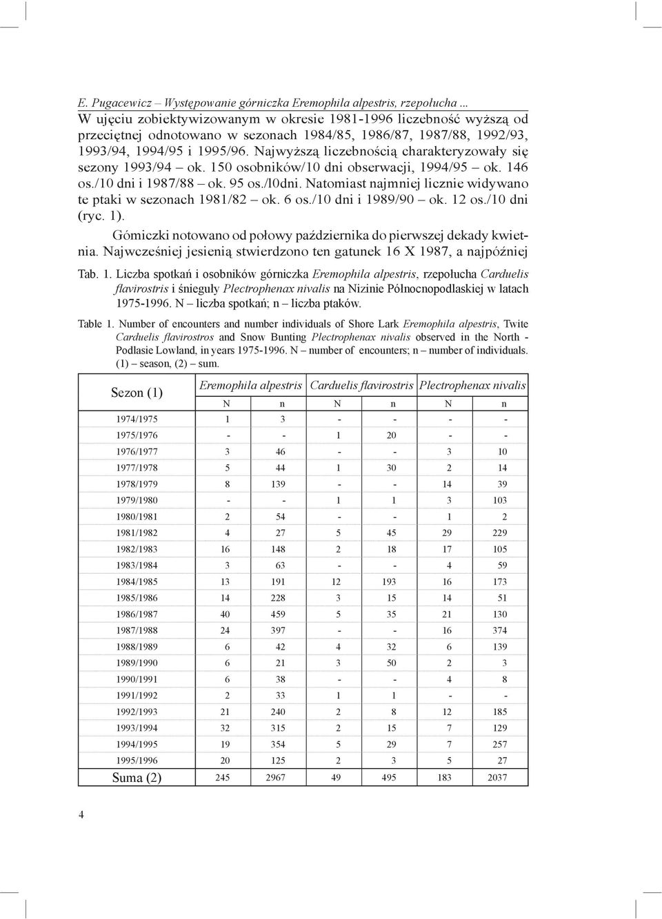 Najwyższą liczebnością charakteryzowały się sezony 1993/94 ok. 150 osobników/10 dni obserwacji, 1994/95 ok. 146 os./10 dni i 1987/88 ok. 95 os./l0dni.