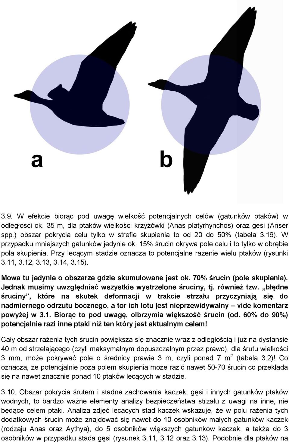 Przy lecącym stadzie oznacza to potencjalne rażenie wielu ptaków (rysunki 3.11, 3.12, 3.13, 3.14, 3.15). Mowa tu jedynie o obszarze gdzie skumulowane jest ok. 70% śrucin (pole skupienia).