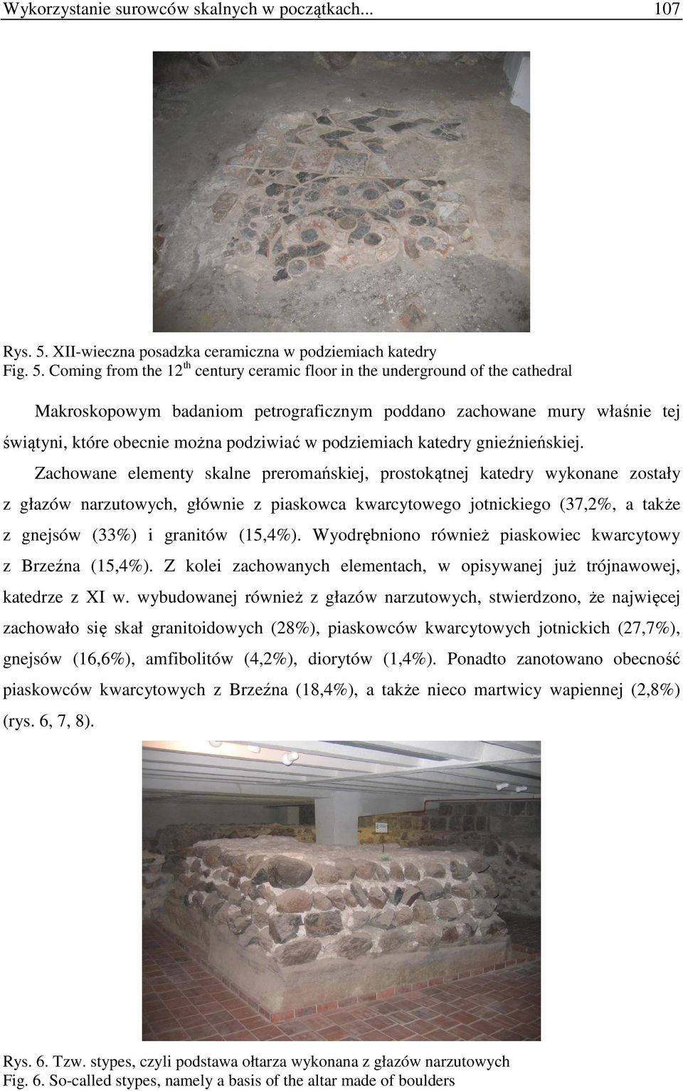 Coming from the 12th century ceramic floor in the underground of the cathedral Makroskopowym badaniom petrograficznym poddano zachowane mury właśnie tej świątyni, które obecnie można podziwiać w