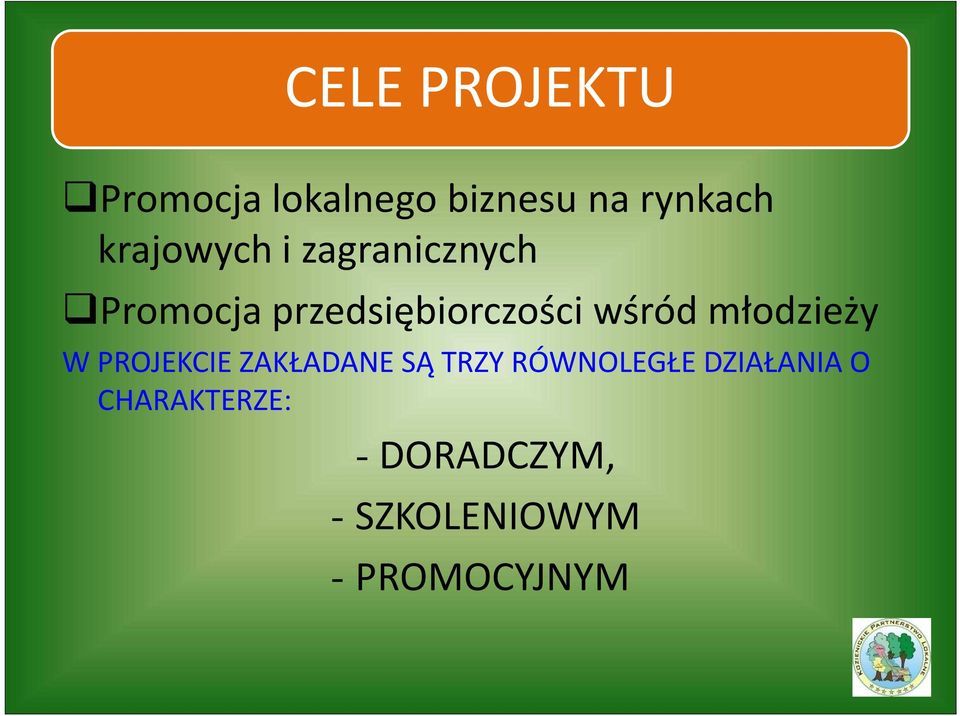 wśród młodzieży W PROJEKCIE ZAKŁADANE SĄ TRZY RÓWNOLEGŁE