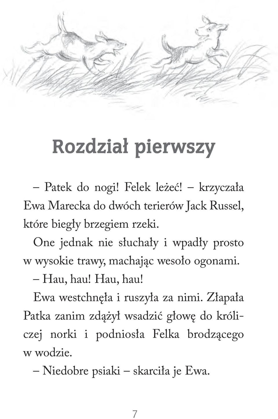 One jednak nie słuchały i wpadły prosto w wysokie trawy, machając wesoło ogonami. Hau, hau!