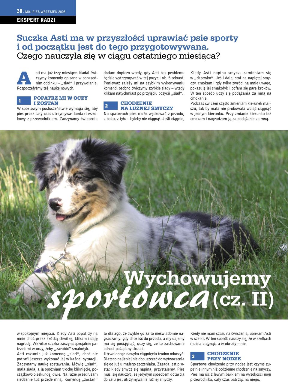 POPATRZ MI W OCZY 1 I ZOSTAŃ W sportowym posłuszeństwie wymaga się, aby pies przez cały czas utrzymywał kontakt wzrokowy z przewodnikiem.