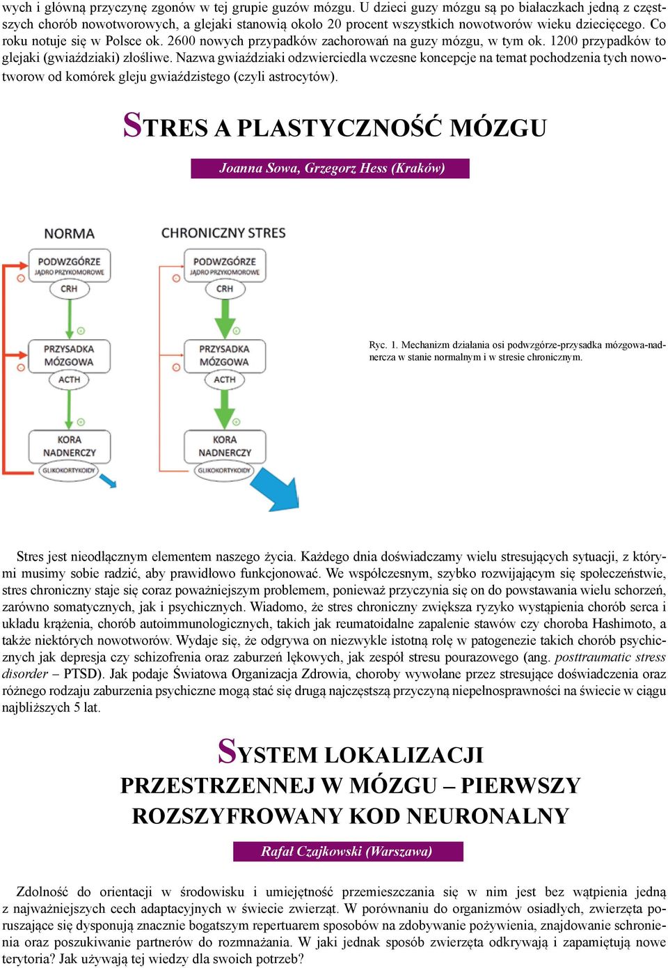 2600 nowych przypadków zachorowań na guzy mózgu, w tym ok. 1200 przypadków to glejaki (gwiaździaki) złośliwe.