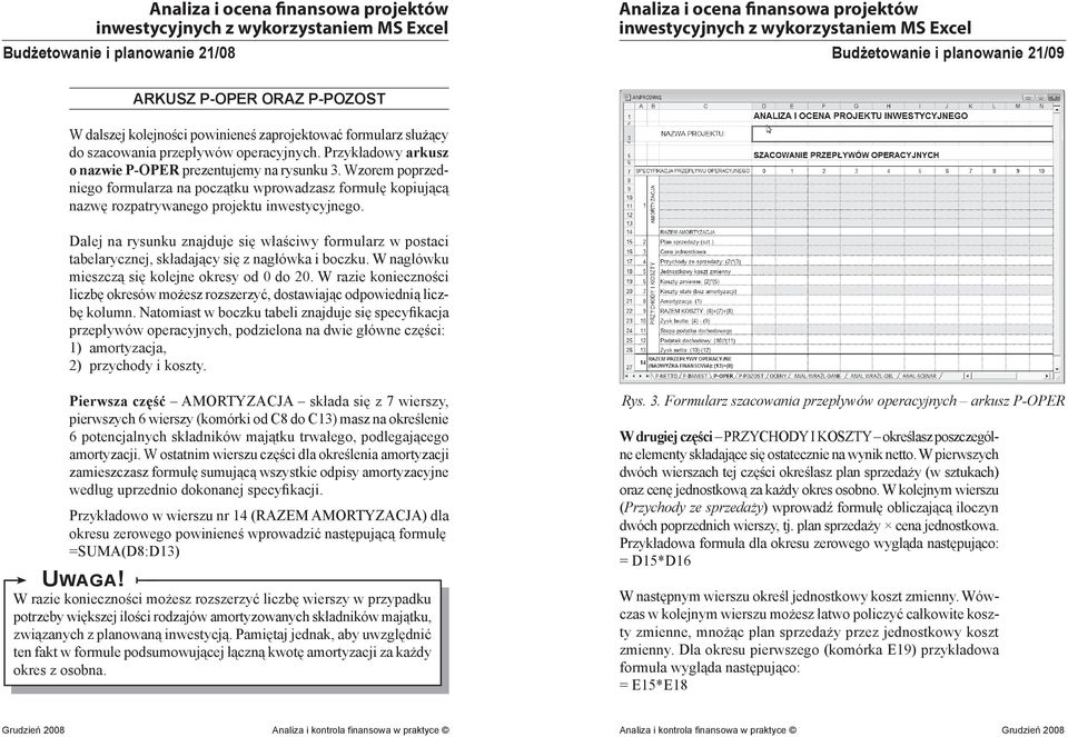 Dalej na rysunku znajduje się właściwy formularz w postaci tabelarycznej, składający się z nagłówka i boczku. W nagłówku mieszczą się kolejne okresy od 0 do 20.