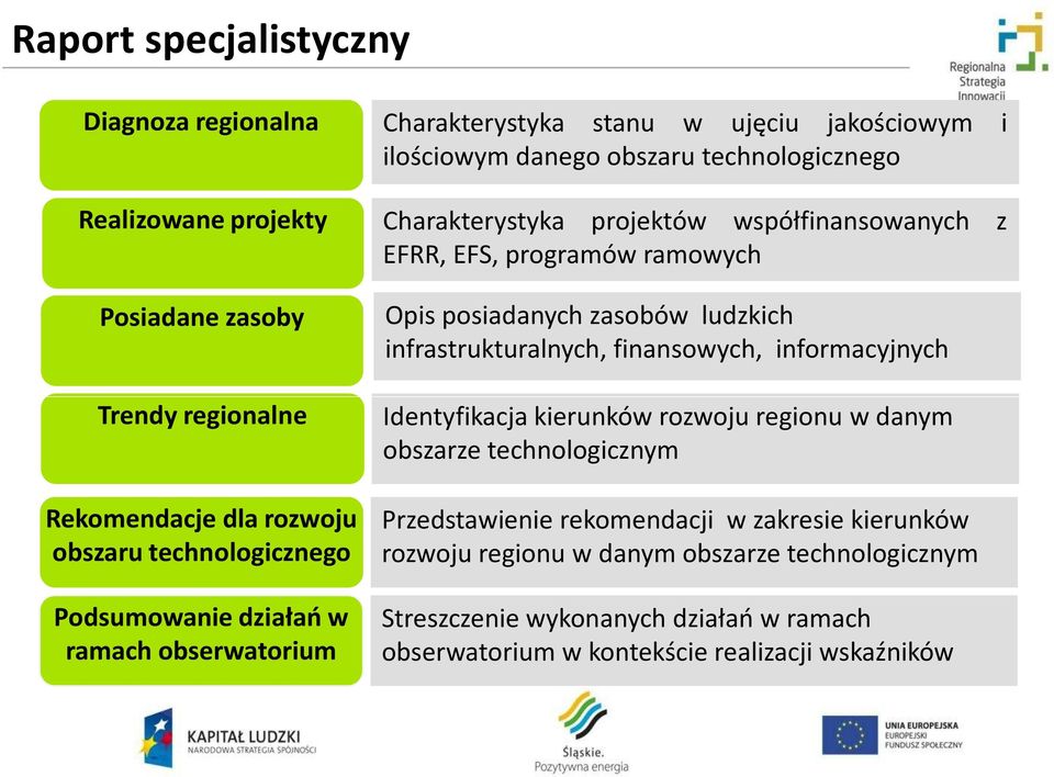 programów ramowych Opis posiadanych zasobów ludzkich infrastrukturalnych, finansowych, informacyjnych Identyfikacja kierunków rozwoju regionu w danym obszarze technologicznym