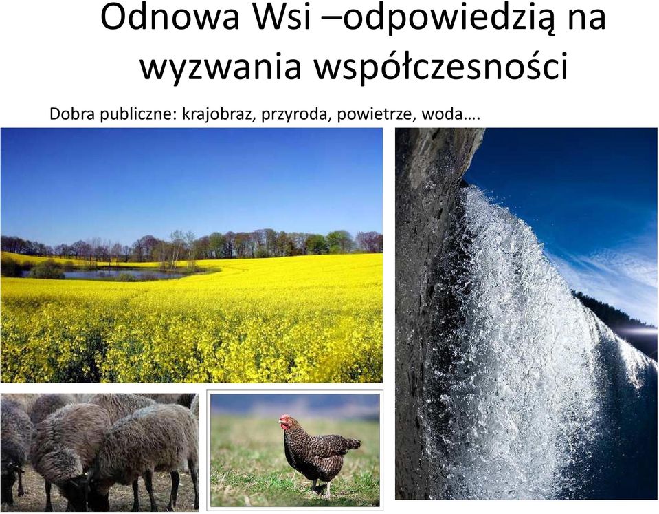 Dobra publiczne: