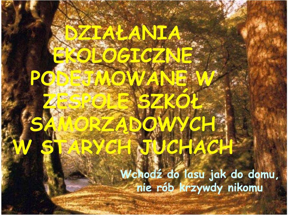 SAMORZĄDOWYCH W STARYCH JUCHACH