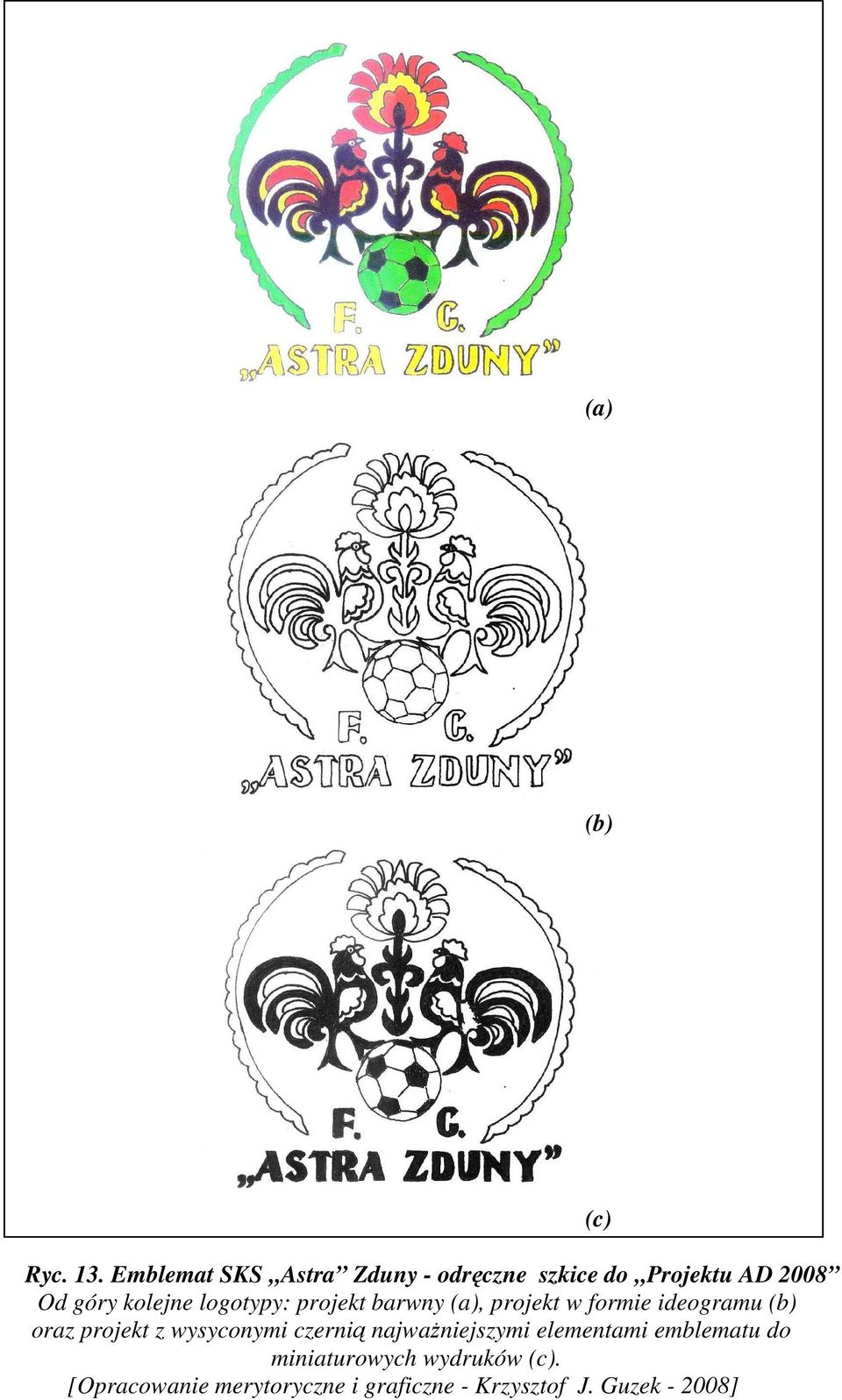 logotypy: projekt barwny (a), projekt w formie ideogramu (b) oraz projekt z